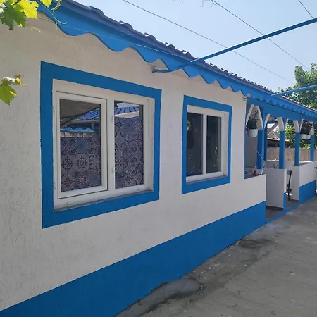 Blue Coral