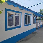 Blue Coral