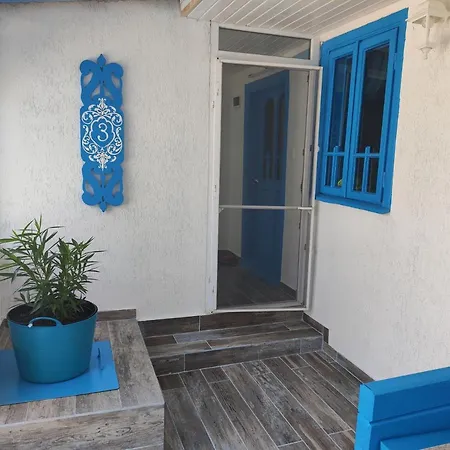 Blue Coral יורילובקה