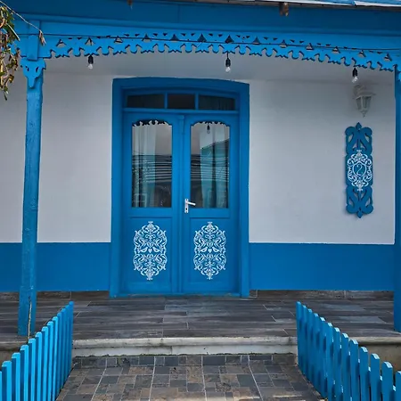 Blue Coral *