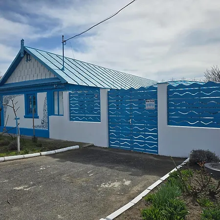Blue Coral